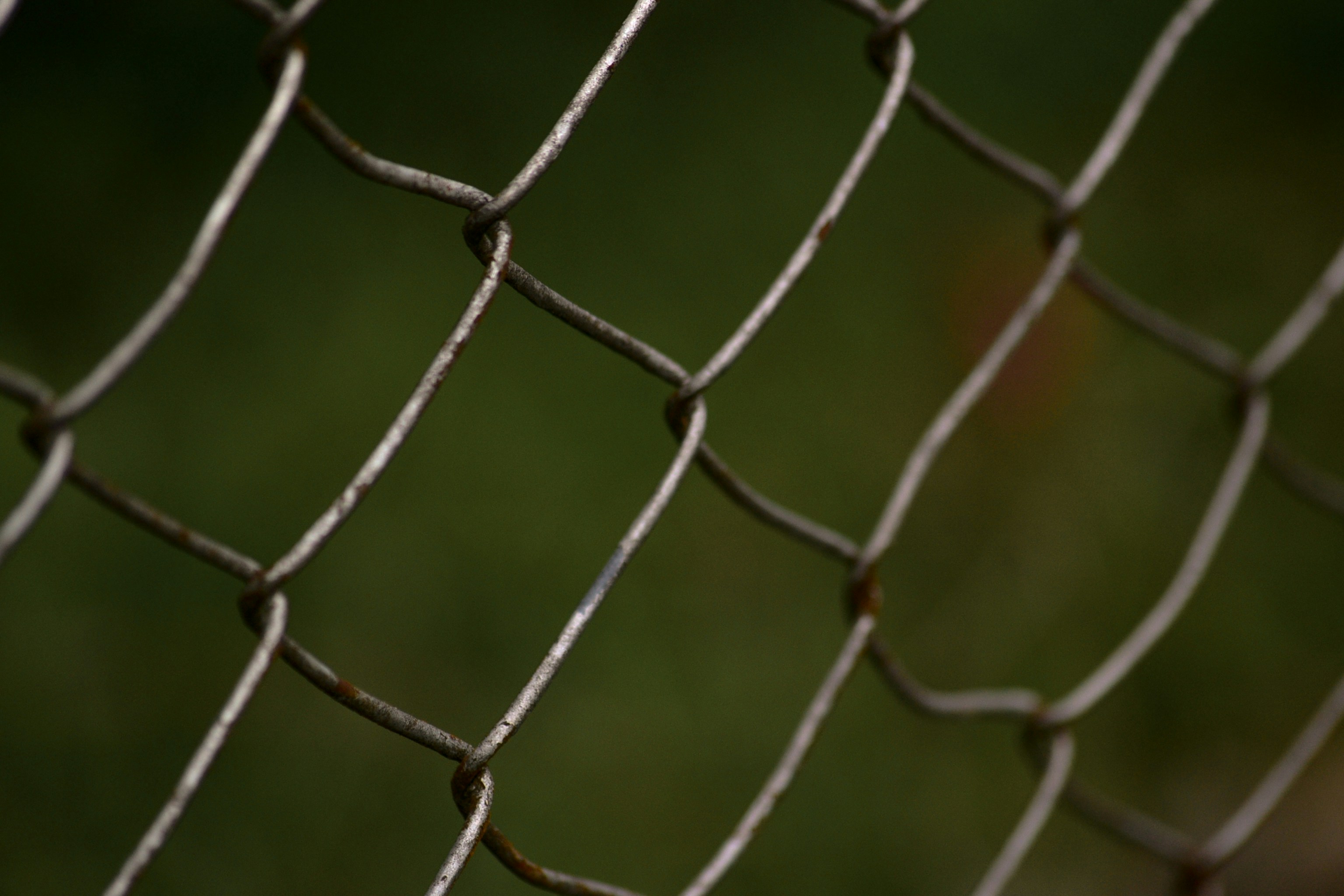 Fencing & Gate Fencing & Gate